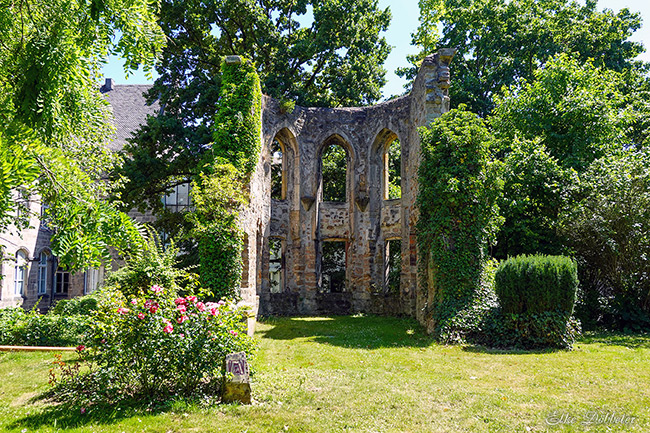 Historische Steinruine mit mehreren Bögen, teilweise von Efeu bewachsen, steht auf einer sonnigen grünen Wiese. Im Vordergrund blühen Rosen, im Hintergrund sind hohe Bäume und ein Gebäude zu sehen.